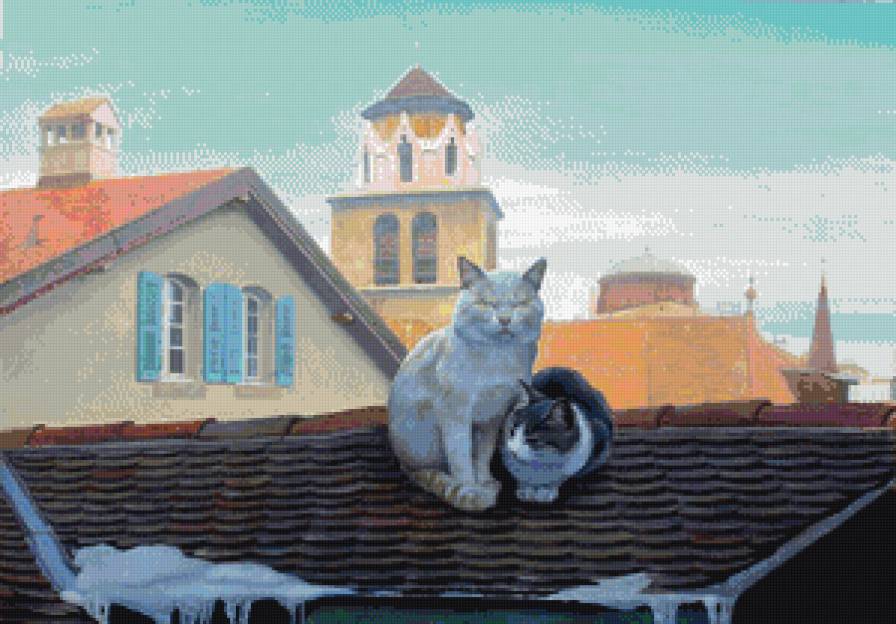 пристроились - котики, коты - предпросмотр