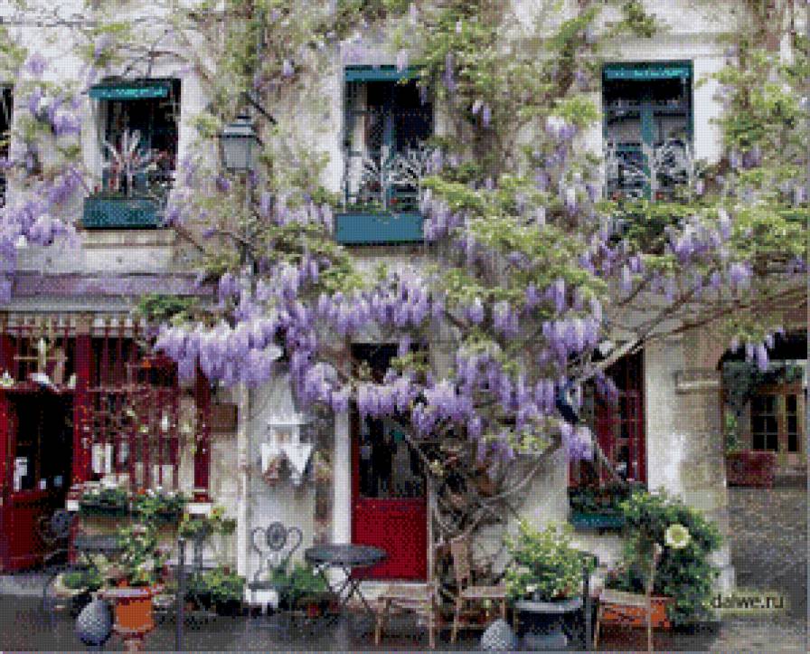 глициния - предпросмотр