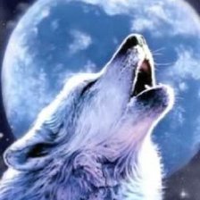 Схема вышивки «Волк»