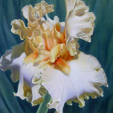 Схема вышивки «№829284»