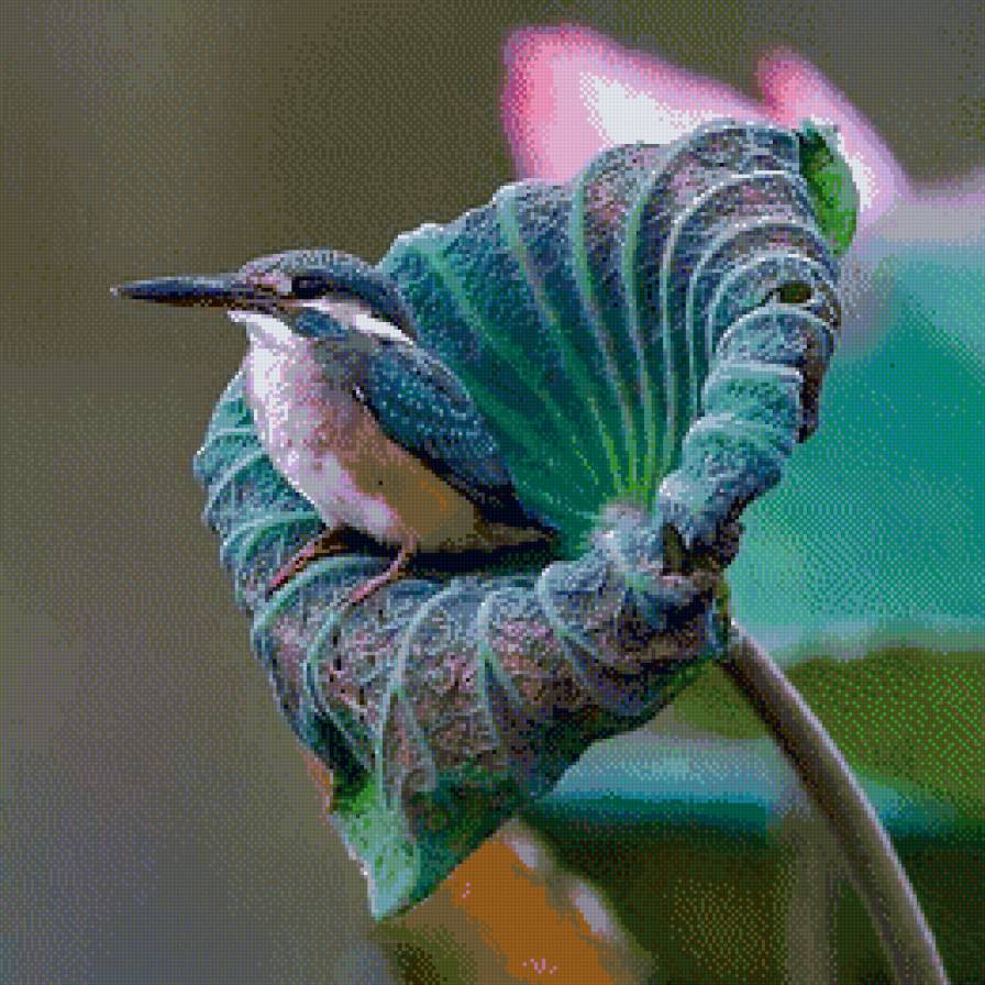 Зимородок в лотосах. - птичка, зимородок, элегантность - предпросмотр