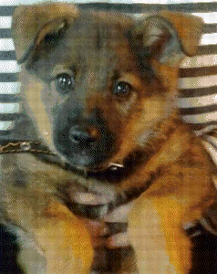 Тося - предпросмотр