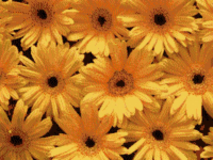 цветы - фон - предпросмотр