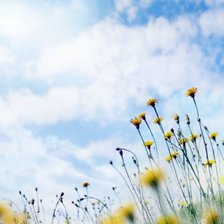 Схема вышивки «мечты»