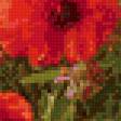 Предпросмотр схемы вышивки «натюрморт» (№829757)