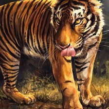 Схема вышивки «Тигр»