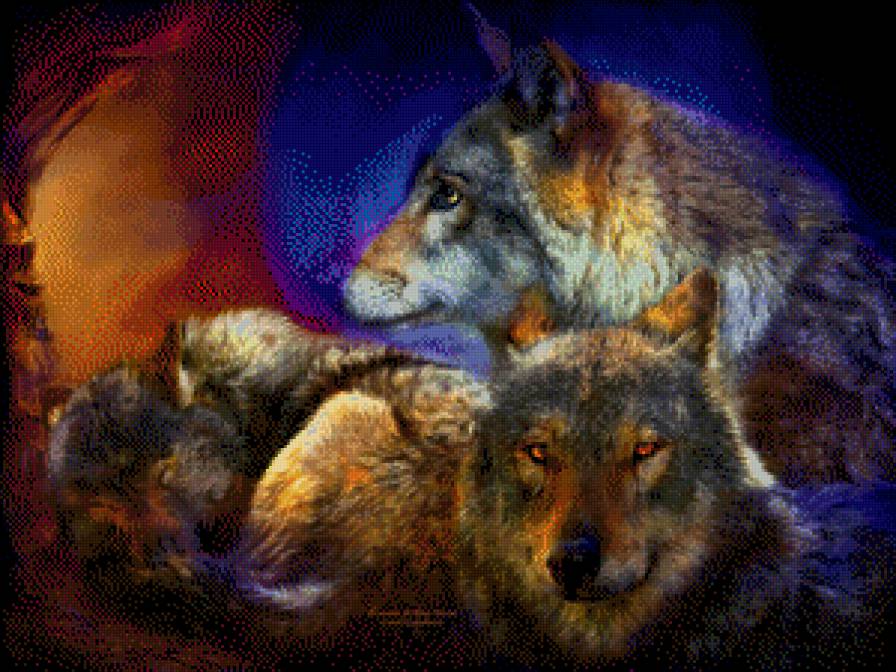 волки красивые - предпросмотр