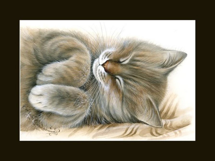 сонька - кот, коты, котики - оригинал