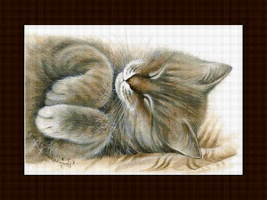 сонька - котики, коты, кот - предпросмотр