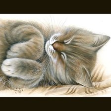 Схема вышивки «сонька»