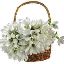 Схема вышивки «цветы»