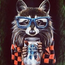 Схема вышивки «Енот:3»