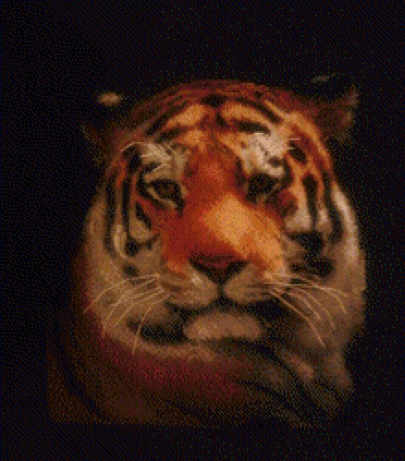 Властелин тайги - животные, тигр, кошки - предпросмотр