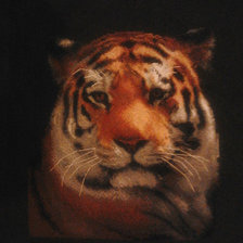 Схема вышивки «Властелин тайги»