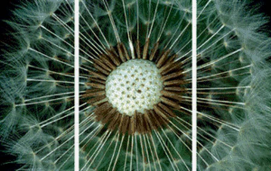 триптих - одуванчик - предпросмотр