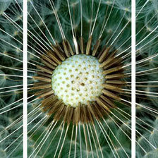 Схема вышивки «триптих»