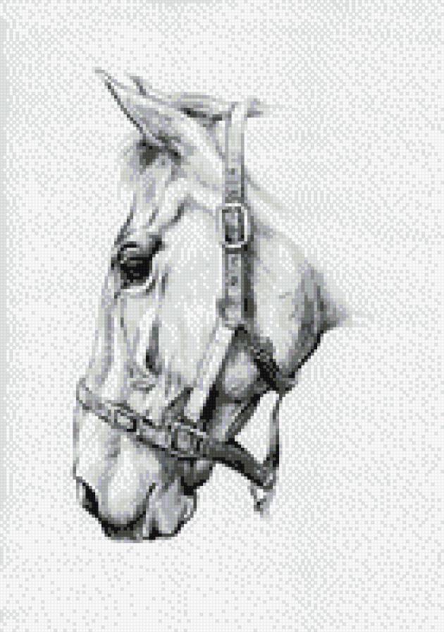 Лошадь - предпросмотр