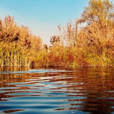 Схема вышивки «природа»