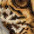 Предпросмотр схемы вышивки «Леопард» (№830461)
