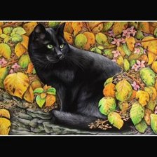 Схема вышивки «красавчик»