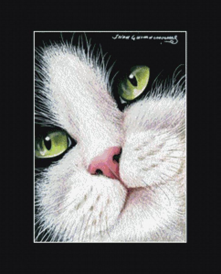 мордашка - кот, котики, портрет, коты - предпросмотр