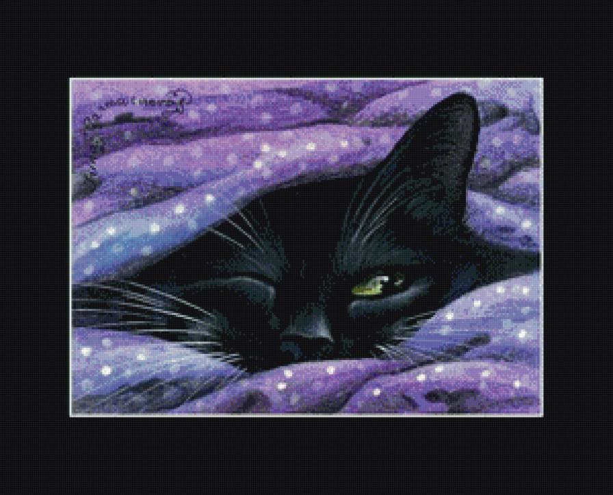 мордашка - котики, коты, кот - предпросмотр