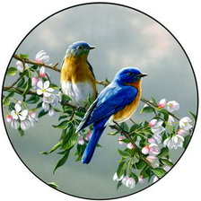 Схема вышивки «Пташки на ветке»