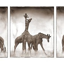 Схема вышивки «триптих»