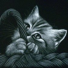 Схема вышивки «Котенок в Корзине»