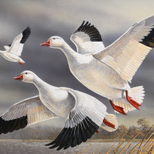 Схема вышивки «№830549»