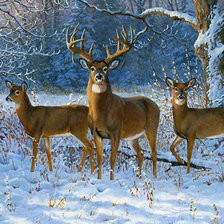 Схема вышивки «олени»