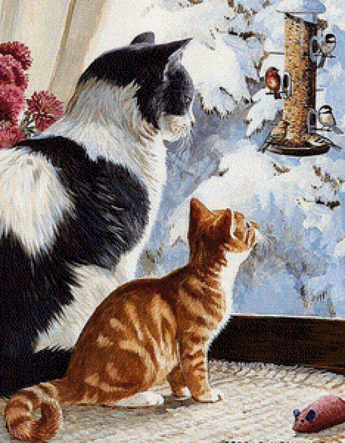 котики - предпросмотр