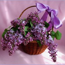 Схема вышивки «сирень в карзине»