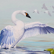 Схема вышивки «№830818»