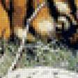 Предпросмотр схемы вышивки «тигр» (№830859)