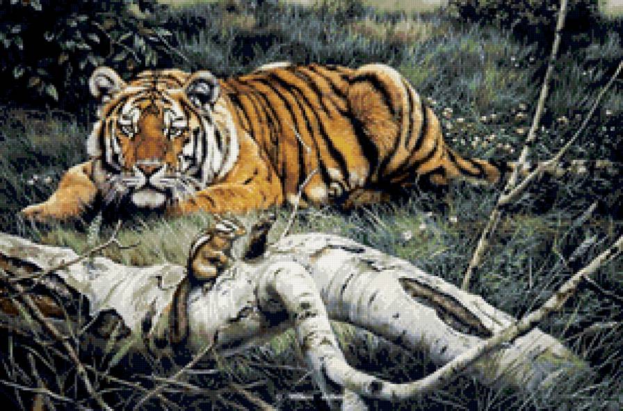 тигр - дикие животные, природа, тигр, пейзаж - предпросмотр