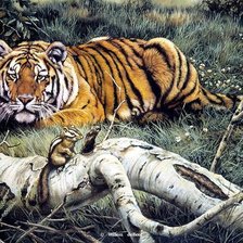 Схема вышивки «тигр»