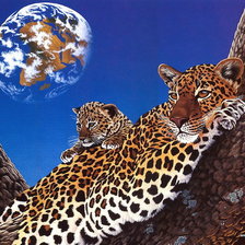 Схема вышивки «леопард»