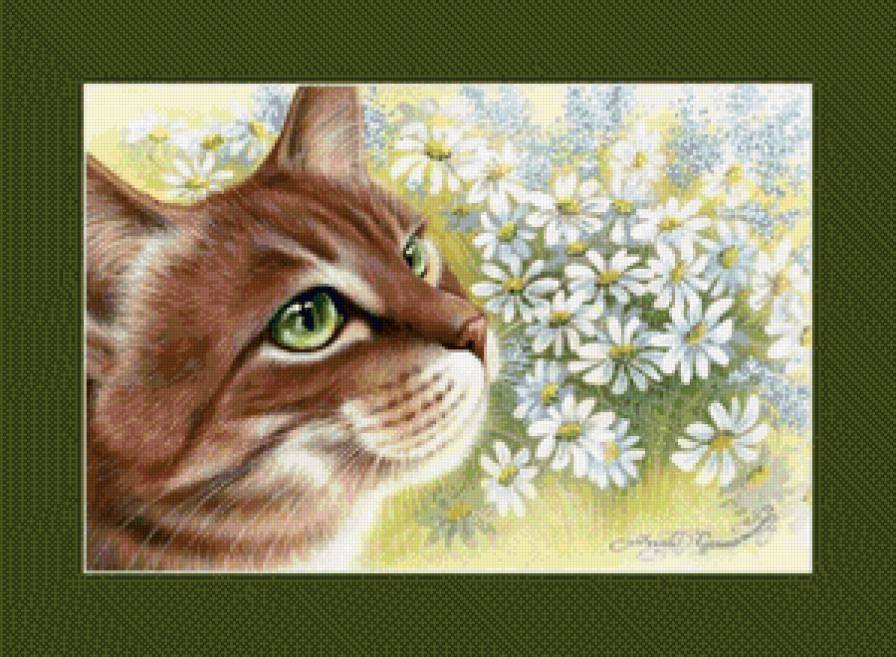 мордашка - портрет, котики, кот, коты - предпросмотр