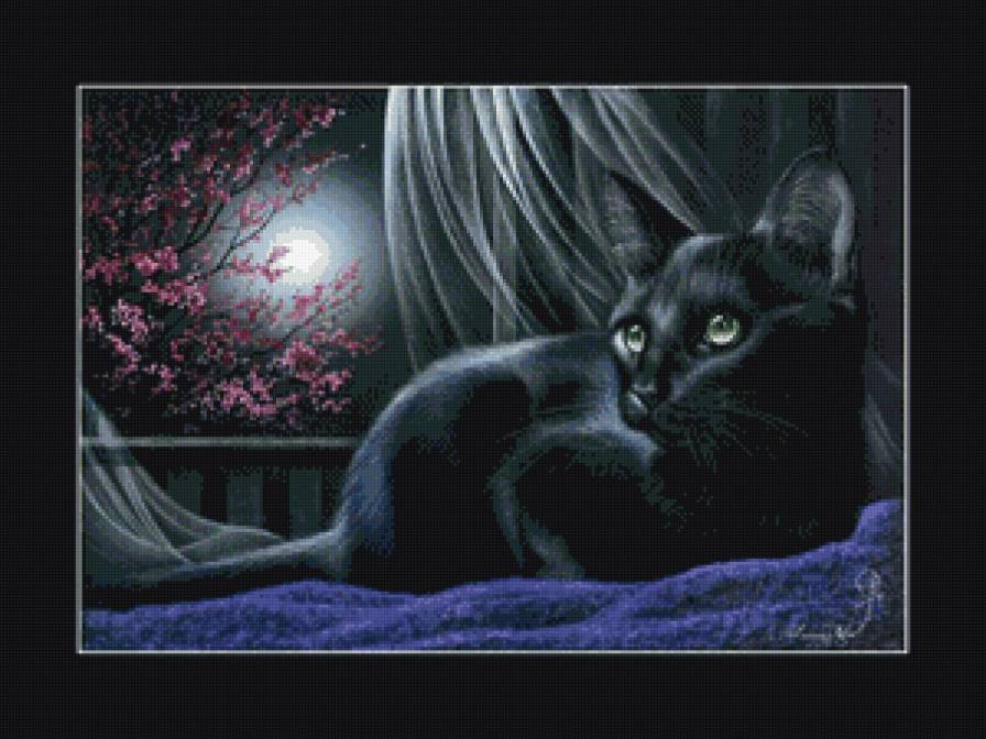 кот ночи - котики, кот, коты - предпросмотр