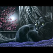 Схема вышивки «кот ночи»