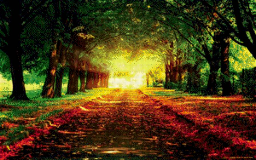 осенний парк - природа, парк, листва, деревья, осень - предпросмотр