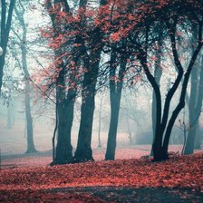 Схема вышивки «парк»