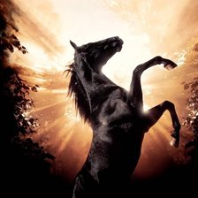 Схема вышивки «ветер в гриве»