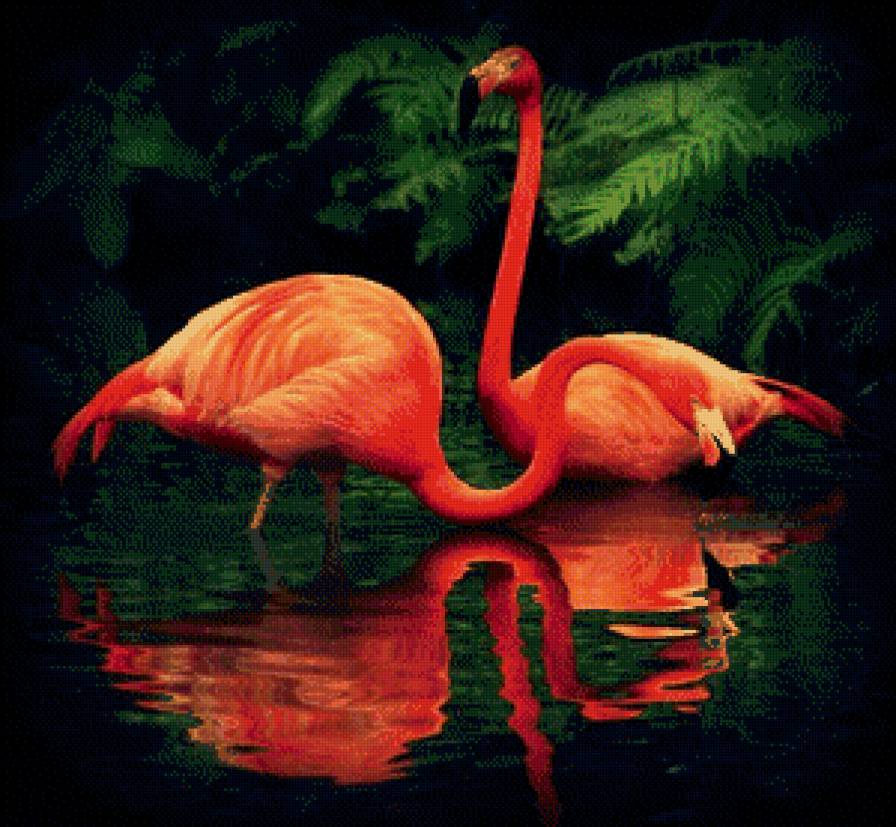 фламинго - природа, животные, птицы, пруд, деревья - предпросмотр