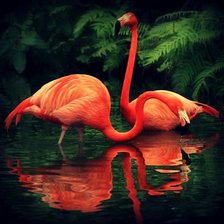 Схема вышивки «фламинго»