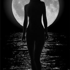 Схема вышивки «в свете луны»