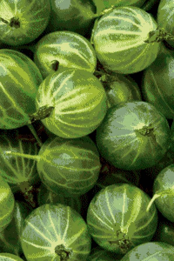 крыжовник - ягоды, на кухню, фрукты - предпросмотр