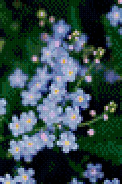 Незабудки - цветы, открытки - предпросмотр