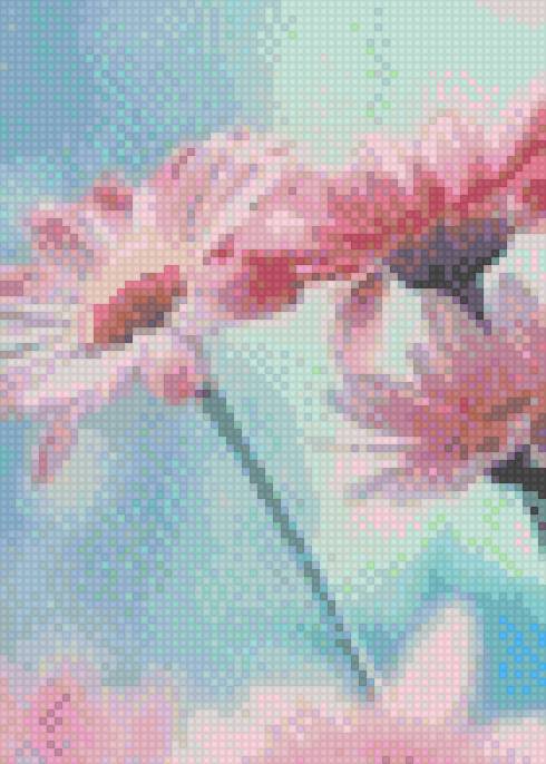 Герберы - цветы, открытки - предпросмотр